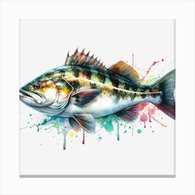 Bass Fish Canvas Print
