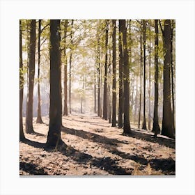 Morning at Forest Canvas Print