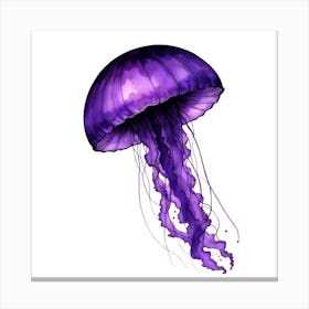 Purple Jellyfish Canvas Print