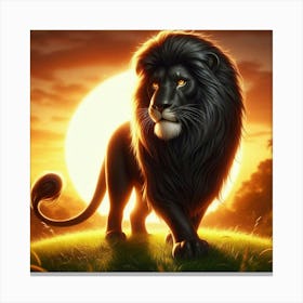 Lion At Sunset 17 Canvas Print