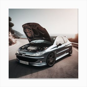 Peugeot 206 Canvas Print