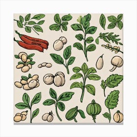 Legumes As A Logo (60) Canvas Print