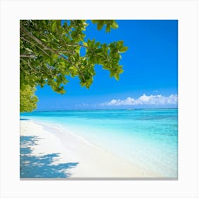 Relax Ocean Plant Idylli Holiday Coastline Beautiful Calm Shore Blue Paradise Sunlight N (27) Canvas Print