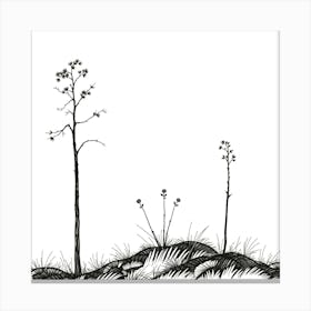 Three Trees On A Hill Canvas Print