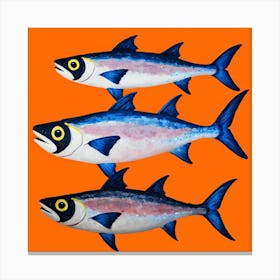 Three Tuna Fish Canvas Print