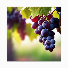 Grapes On The Vine 32 Canvas Print