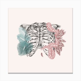 Rib Cage And Life Square Canvas Print