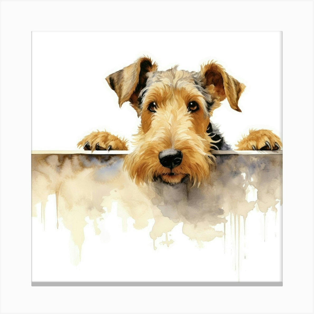 Airedale Terrier Canvas Print by Aloke Design