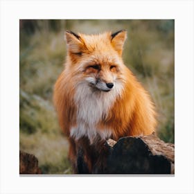 Fox In Forest Canvas Print