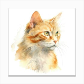 Honeybear Cat Portrait Canvas Print