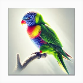 Colorful Parrot 4 Canvas Print