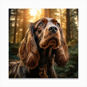 Spaniel In The Woods Canvas Print