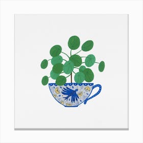 Pilea Peperomioides Houseplant Tea Cup Painting Canvas Print
