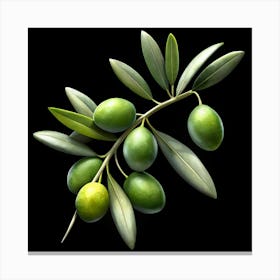 Olive Branch With Green Olives On Black Background Canvas Print