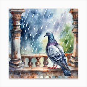 Pigeon In The Rain Canvas Print