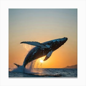 Humpback Whale Jumping Out Of The Water 2 Canvas Print