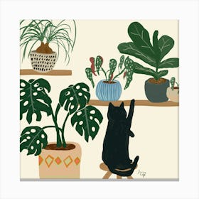 Indoor Jungle Canvas Print