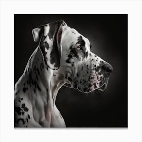 Portrait Of A Dalmatian Dog Canvas Print