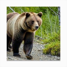 Grizzly Bear In The Wild Canvas Print