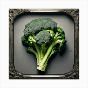 Broccoli In A Frame 8 Canvas Print
