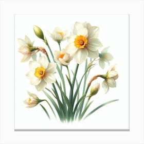 Flowers of Narcissus 1 Canvas Print