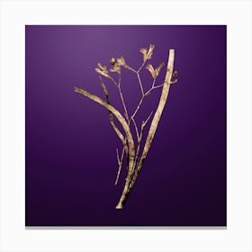 Gold Botanical Anigozanthos Flavida on Royal Purple n.4093 Canvas Print