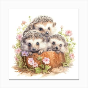 Hedgehogs 6 Leinwandbild