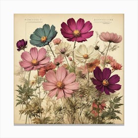 Cosmos 4 Canvas Print