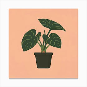 Potted Plant 3 Canvas Print