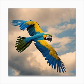 Parrot In Flight 2 Canvas Print