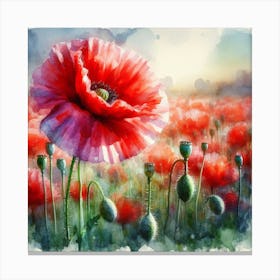 Poppies Canvas Print