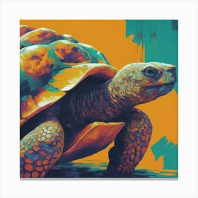 Tortoise Canvas Print