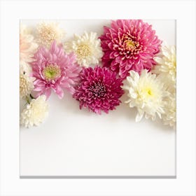 Chrysanthemums Canvas Print