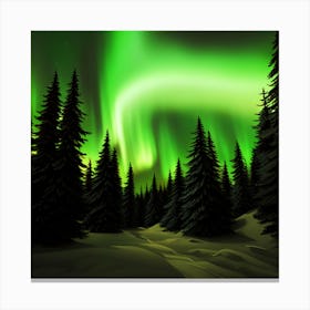 Forest Aurora Canvas Print