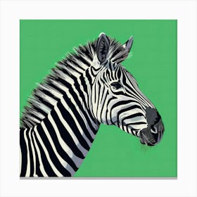 Animal Zebra On Green Background Canvas Print
