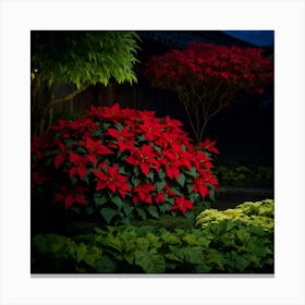 Poinsettia At Night Canvas Print