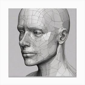 3d Head 2 Canvas Print