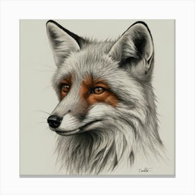 Fox Drawing 2 Canvas Print