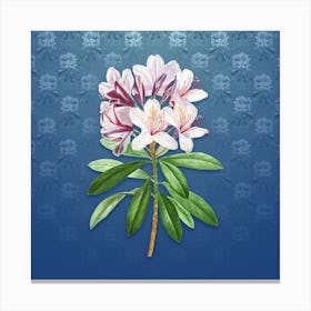 Vintage Common Rhododendron Botanical on Bahama Blue Pattern n.0407 Canvas Print
