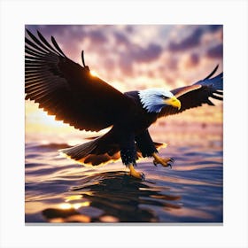 Bald Eagle 2 Canvas Print