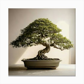 Firefly Elegant Bonsai Tree In A Tranquil Minimalist Design 11335 (2) Canvas Print