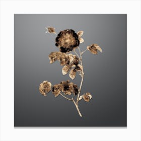Gold Botanical Rose on Soft Gray n.2354 Canvas Print