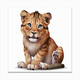 Lion Cub 1 Canvas Print