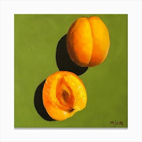 Apricots Canvas Print