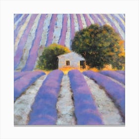 Lavender Field Canvas Print Canvas Print
