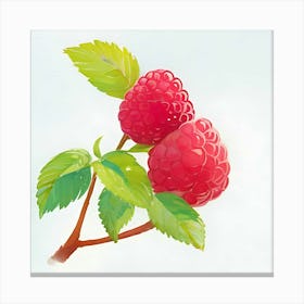 Raspberry Canvas Print