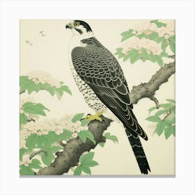 Ohara Koson Inspired Bird Painting Falcon 8 Square Canvas Print