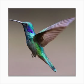 Hummingbird - Hummingbird Stock Videos & Royalty-Free Footage Canvas Print