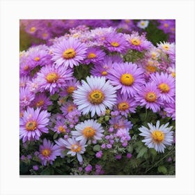Purple Daisies Canvas Print