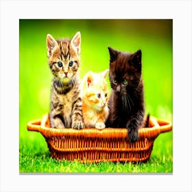 Kittens In A Basket,Three little colorful kittens are curiously sitting in the brown basket in the garden. Canvas Print